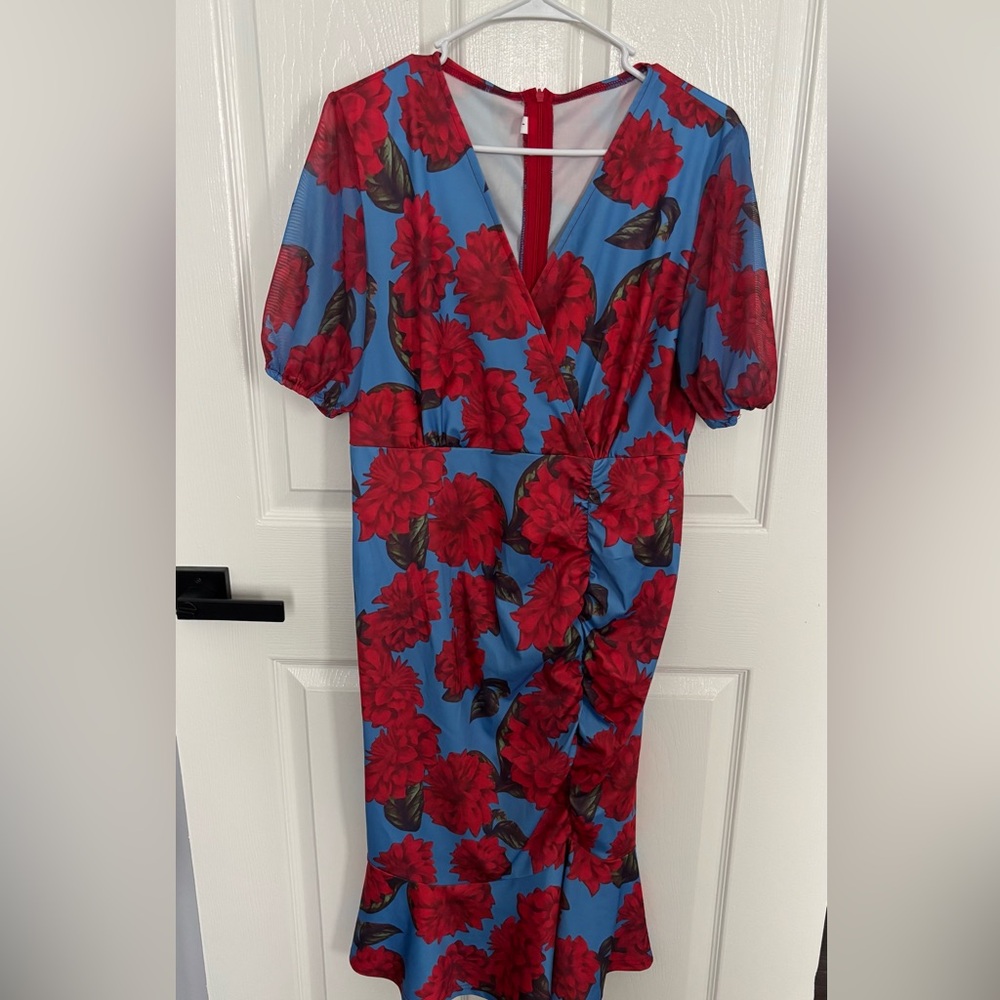 Maternity Red and Blue Floral Dress
